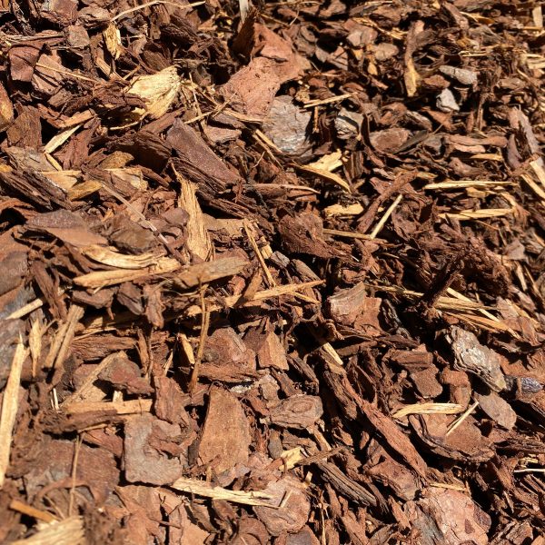 50mm Slash Pine Bark