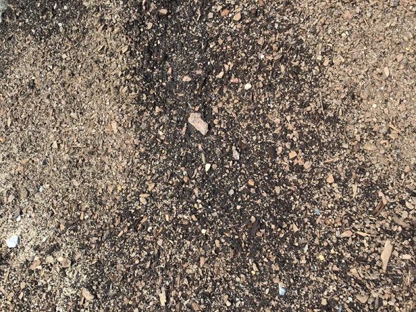 General Purpose Potting Mix